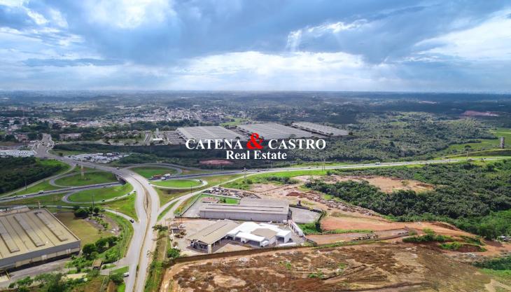 Estou no mercado imobiliário há mais de 40 anos. Desde que comecei a trabalhar com meu pai, aos 18 anos, e há 30 anos, quando fundamos a Catena & Castro Real Estate, acompanho as mudanças e evoluções do setor. 