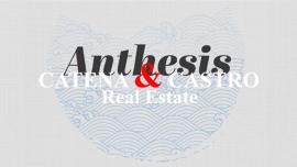 Livro Anthesis Daniel Augusto Motta